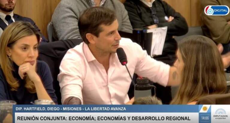 “No camino la rosada… se dice rosado”: Diego Hartfield defendió la desregulación yerbatera y apuntó contra 20 años de precio regulado imagen-17