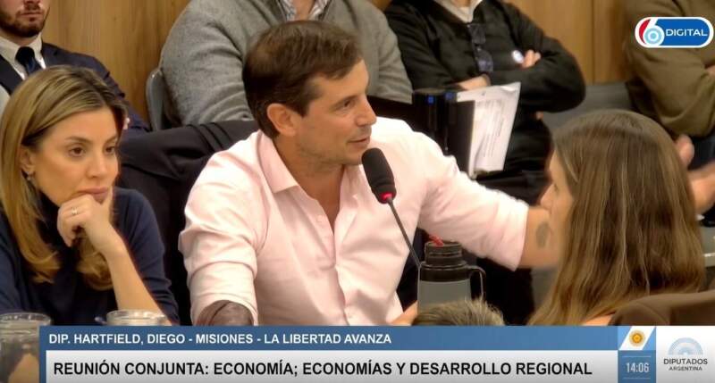 “No camino la rosada… se dice rosado”: Diego Hartfield defendió la desregulación yerbatera y apuntó contra 20 años de precio regulado imagen-18