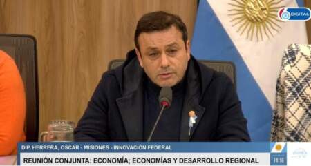 Herrera Ahuad defendió al sector yerbatero: “Misiones pierde casi 500 millones de dólares mientras se discute el libre mercado” imagen-17