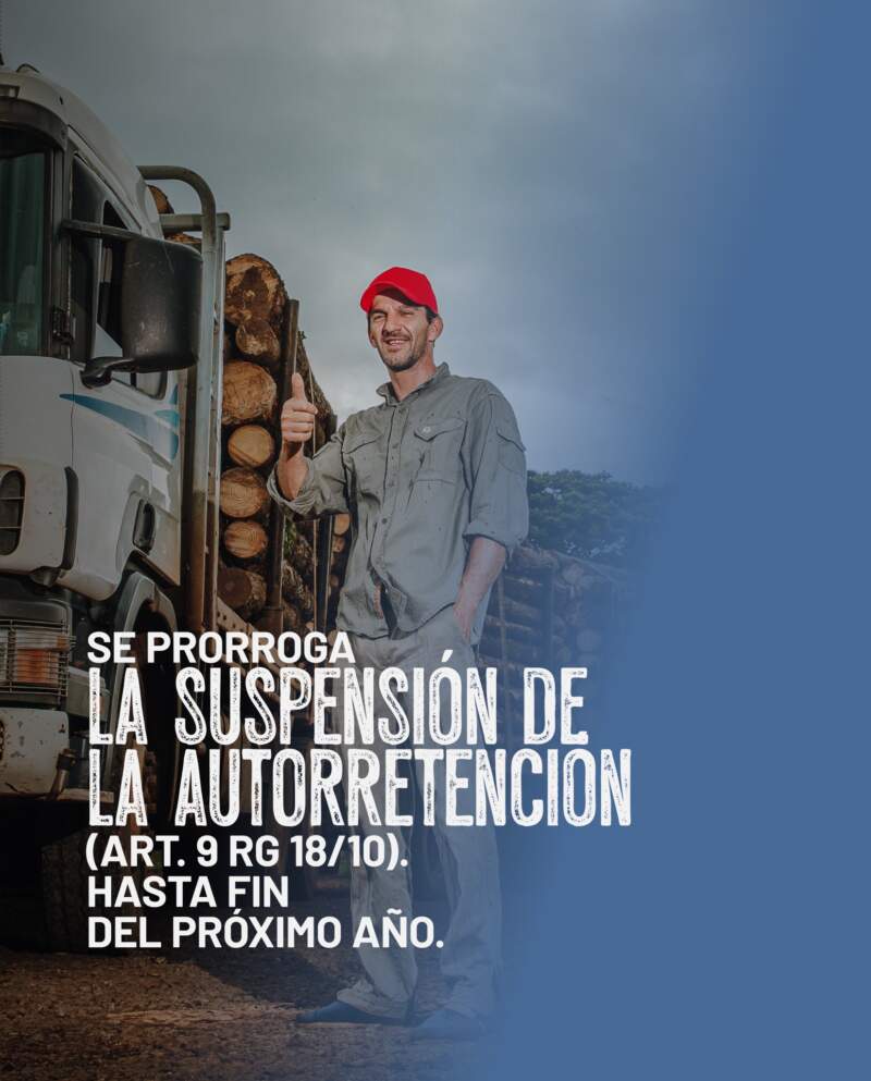 Passalacqua extiende medidas de alivio fiscal para profesionales y PYMES hasta diciembre de 2026 imagen-4