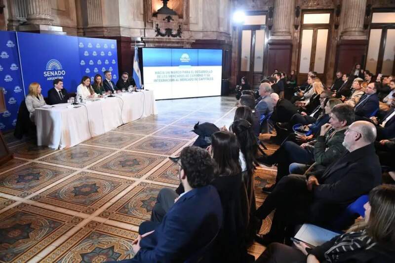 Destacan el liderazgo de Misiones en el mercado de créditos de carbono imagen-3