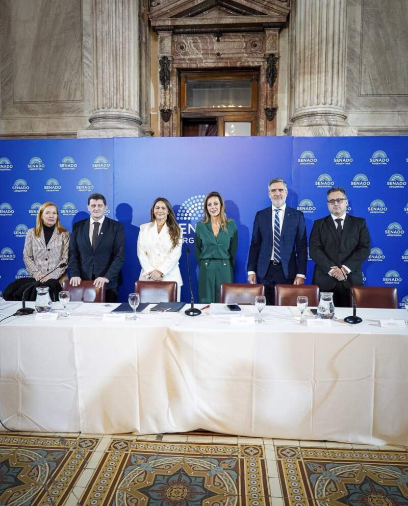 Destacan el liderazgo de Misiones en el mercado de créditos de carbono imagen-7