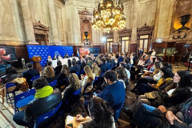 Destacan el liderazgo de Misiones en el mercado de créditos de carbono imagen-5