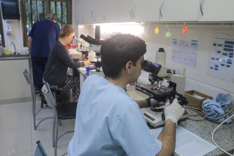 El Parque de la Salud abre camino a la innovación biomédica imagen-18