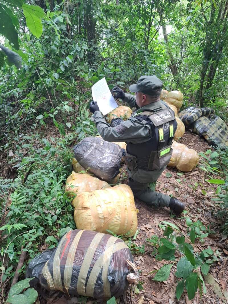 Patrulla de Gendarmería halló casi 190 kilos de marihuana ocultos entre la vegetación en Colonia Victoria imagen-6