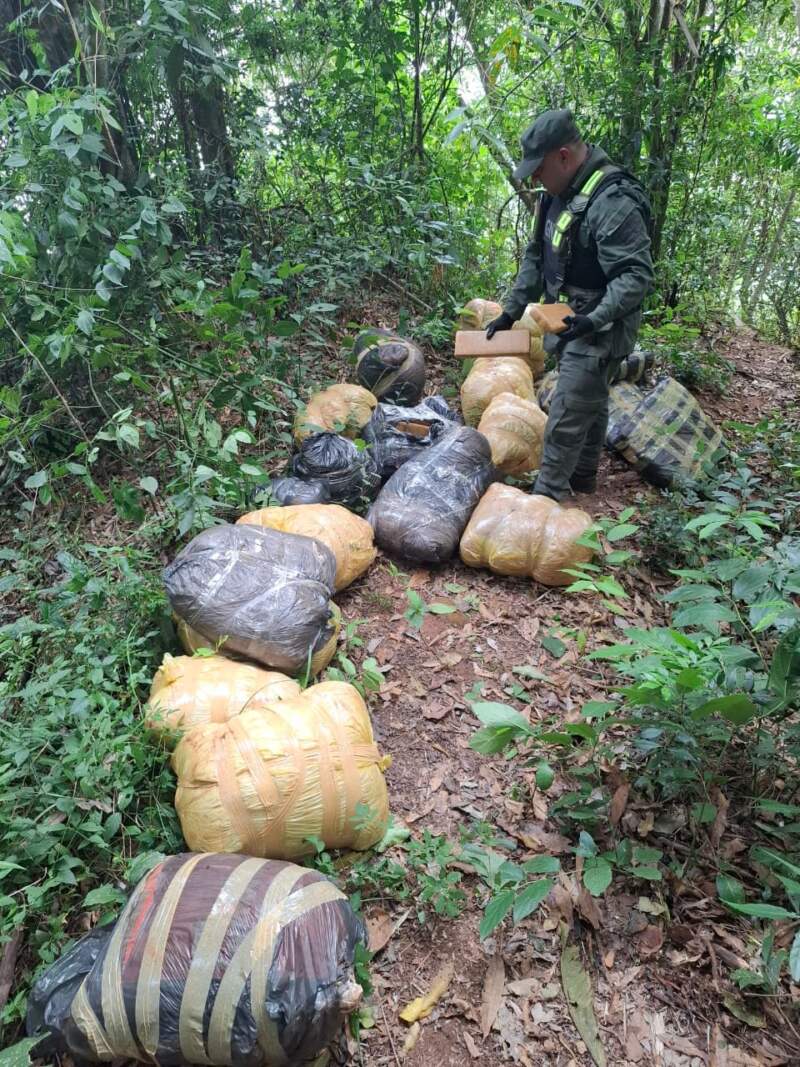 Patrulla de Gendarmería halló casi 190 kilos de marihuana ocultos entre la vegetación en Colonia Victoria imagen-4