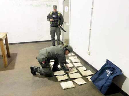 Posadas: Gendarmes encontraron 18 kilos de cocaína dentro de un bolso mientras revisaban el cargamento de maderas de un camión imagen-7