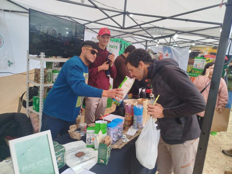 Yerba mate misionera conquistó Expo Mate 2026 con ventas, nuevos clientes y fuerte presencia de cooperativas imagen-1