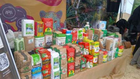 Yerba mate misionera conquistó Expo Mate 2026 con ventas, nuevos clientes y fuerte presencia de cooperativas imagen-2