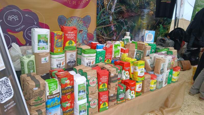 Yerba mate misionera conquistó Expo Mate 2026 con ventas, nuevos clientes y fuerte presencia de cooperativas imagen-13