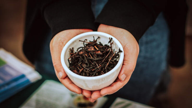 Misiones concentra el 95% de la producción nacional de té y exporta a más de 30 países imagen-4