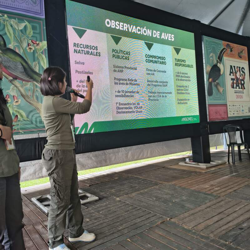 Misiones llevó su modelo de turismo sustentable a una de las ferias más importantes de Brasil imagen-3