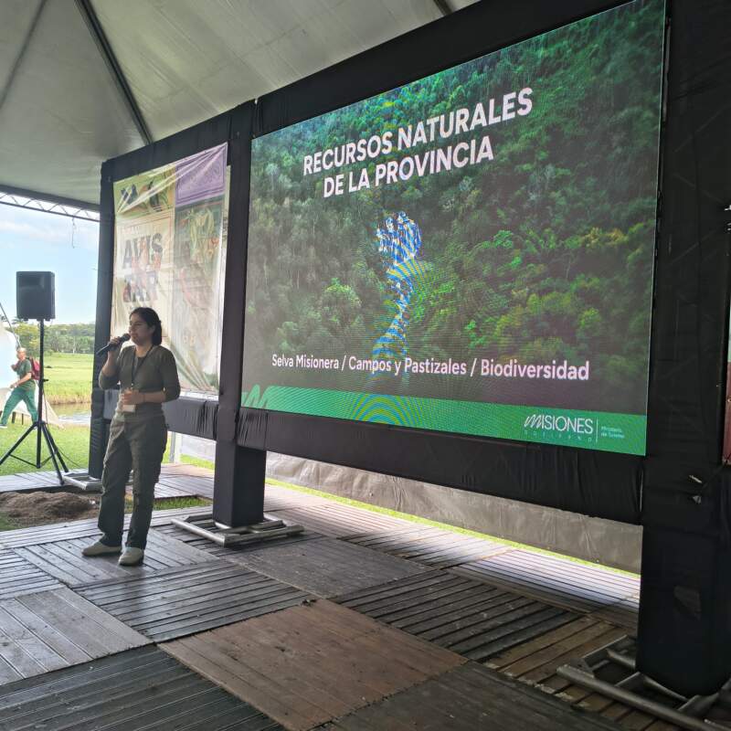 Misiones llevó su modelo de turismo sustentable a una de las ferias más importantes de Brasil imagen-14