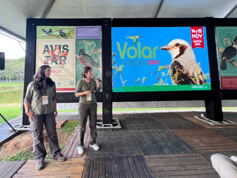 Misiones llevó su modelo de turismo sustentable a una de las ferias más importantes de Brasil imagen-7