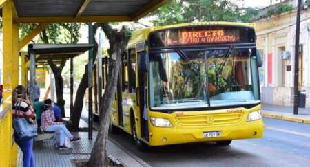 Mascotas a bordo: avanza una ordenanza para permitir el ingreso de animales al transporte urbano de Posadas Mascotas a bordo: avanza una ordenanza para permitir el ingreso de animales al transporte urbano de Posadas imagen-3