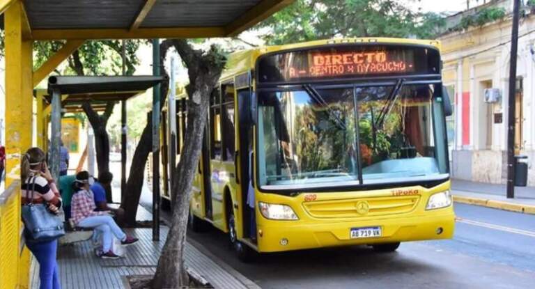 Mascotas a bordo: avanza una ordenanza para permitir el ingreso de animales al transporte urbano de Posadas Mascotas a bordo: avanza una ordenanza para permitir el ingreso de animales al transporte urbano de Posadas imagen-46