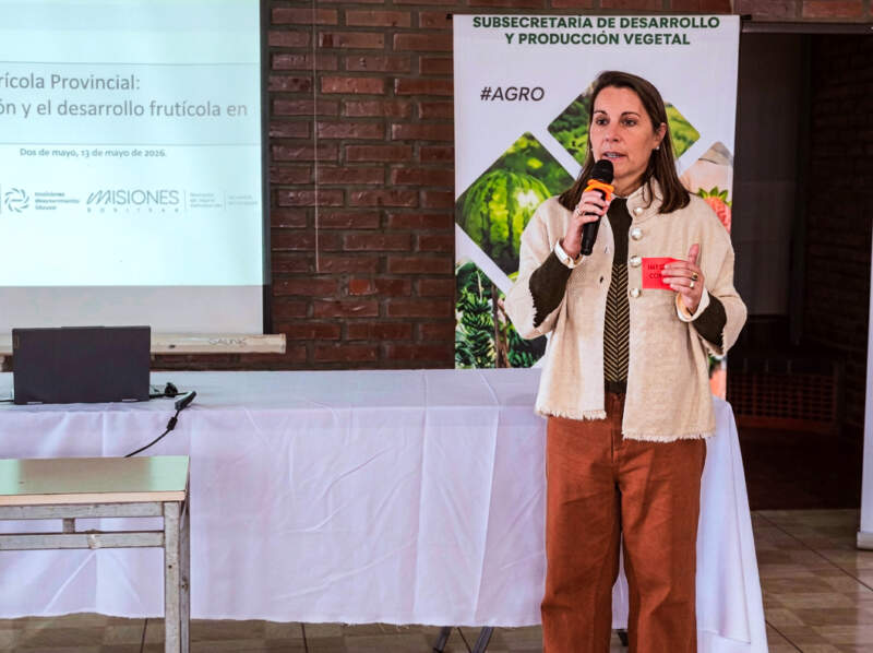 Misiones reunió por primera vez a toda la cadena frutícola para diseñar el futuro del sector imagen-3