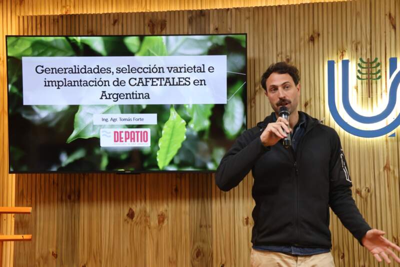 Misiones apuesta al café: presentaron avances y variedades que podrían adaptarse a la tierra colorada imagen-4