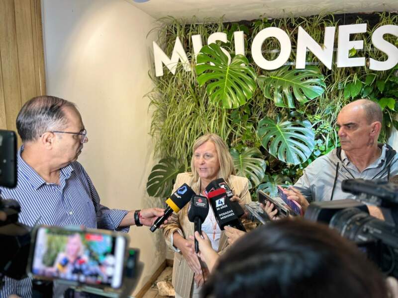 Con shows, cocina en vivo y capacitaciones, Apóstoles lanza la segunda Fiesta del Pescado de Cultivo para potenciar la economía local imagen-6