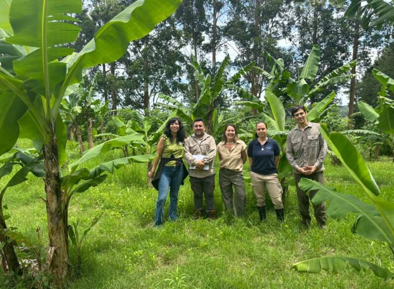 Ciencia con impacto real: cómo Biofábrica valida sus desarrollos para mejorar la producción imagen-12