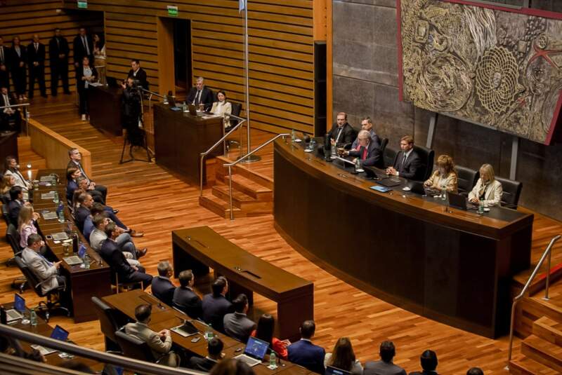 Apertura de Sesiones: "Esta desregulación no es libertad", dijo Passalacqua al cuestionar a Nación por la crisis yerbatera imagen-2