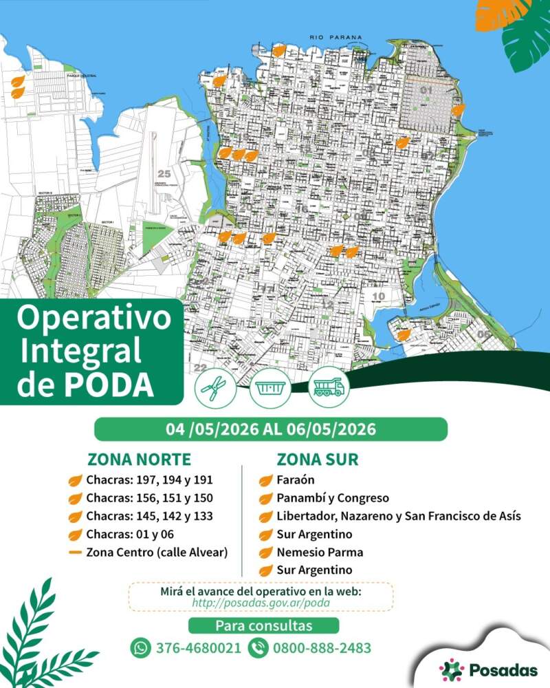 Posadas despliega operativo de poda por barrios con cronograma y retiro gratuito de ramas imagen-2