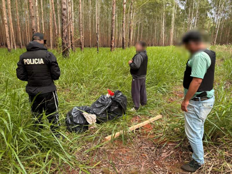 Narcos huyeron al ver a la Policía y abandonaron más de $248 millones en marihuana en el monte de San Ignacio imagen-2