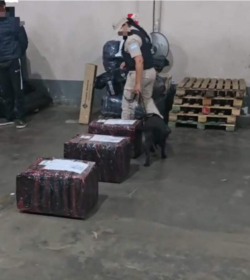Golpe al narcotráfico: tras múltiples allanamientos en el país se desbarató una banda criminal transnacional con base operativa en Posadas imagen-4