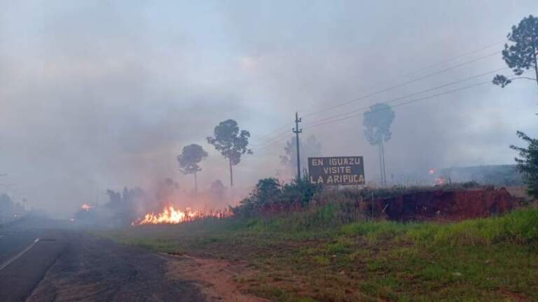 Precaución al circular por Ruta 12: un incendio de malezas genera humo en la zona de Loreto Precaución al circular por Ruta 12: un incendio de malezas genera humo en la zona de Loreto imagen-10