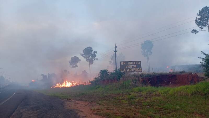 Precaución al circular por Ruta 12: un incendio de malezas genera humo en la zona de Loreto imagen-12