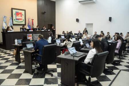Concejales proponen crear una feria municipal para impulsar el empleo joven y profesional en Posadas imagen-11