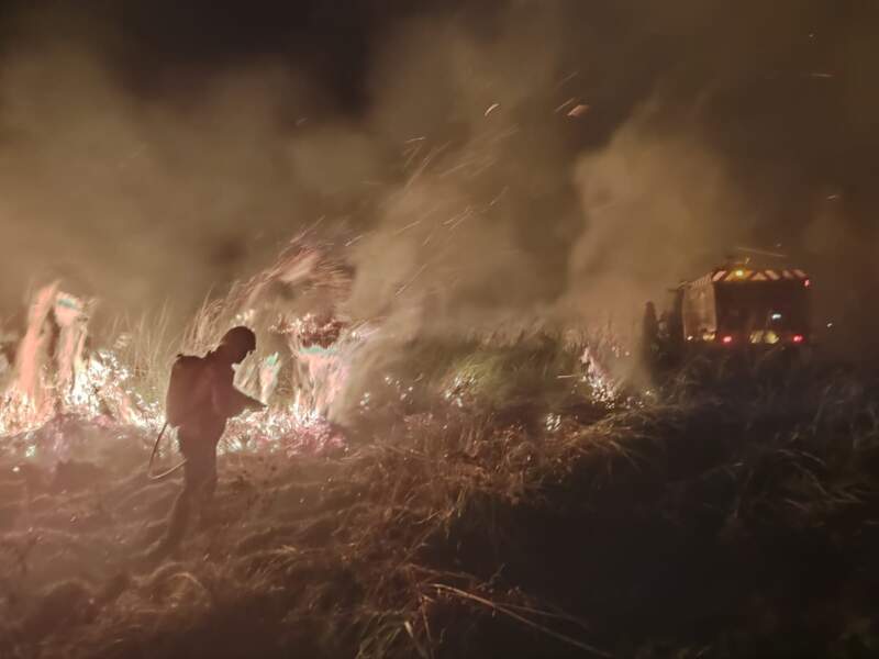Bomberos controlaron un incendio de malezas en Loreto: No se registraron lesionados imagen-2