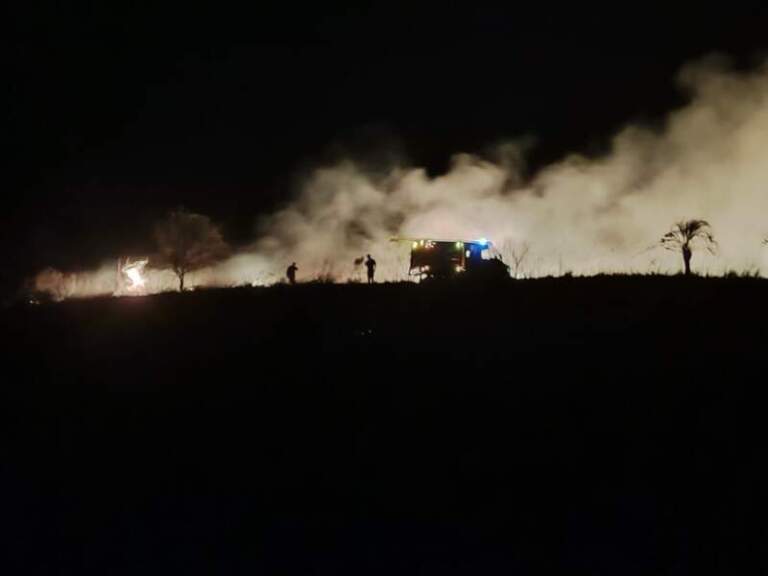 Bomberos controlaron un incendio de malezas en Loreto: No se registraron lesionados Bomberos controlaron un incendio de malezas en Loreto: No se registraron lesionados imagen-4