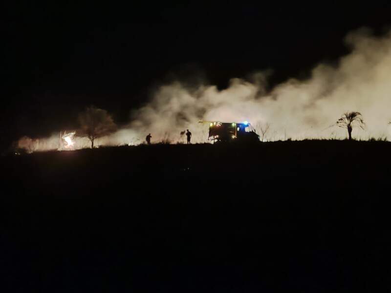 Bomberos controlaron un incendio de malezas en Loreto: No se registraron lesionados imagen-13