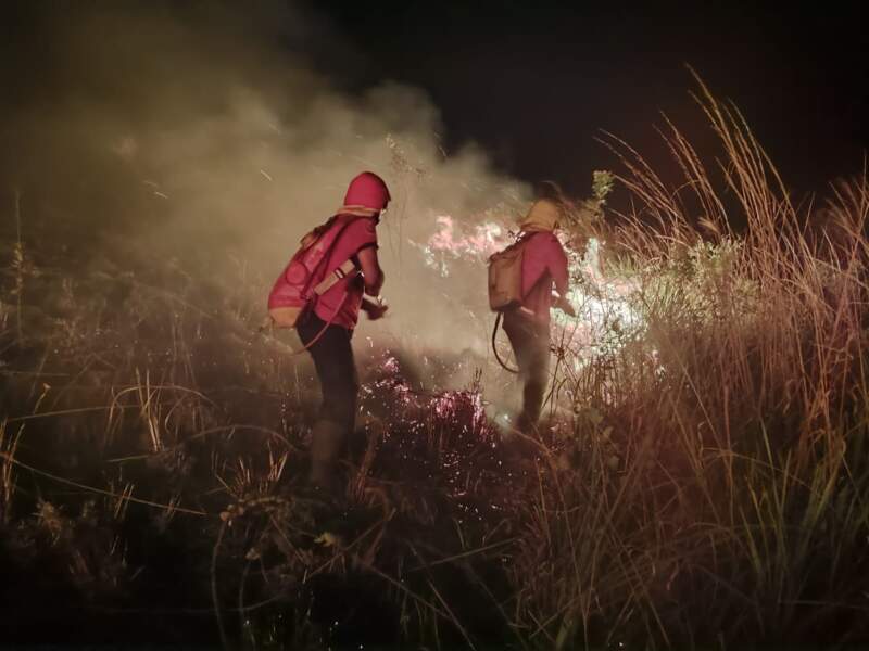 Bomberos controlaron un incendio de malezas en Loreto: No se registraron lesionados imagen-4