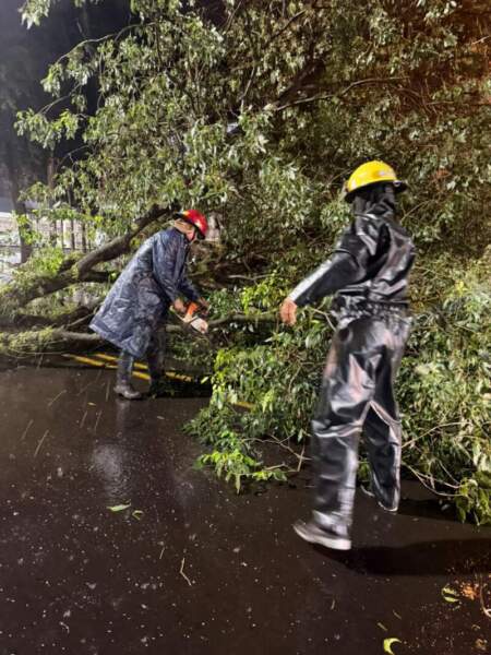 Fuego, tormentas y asistencia comunitaria: intenso despliegue de los bomberos de la Policía en distintos puntos de Misiones imagen-13