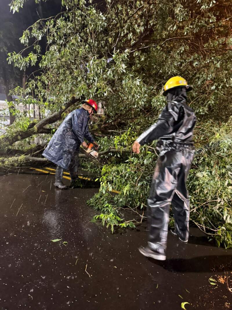 Fuego, tormentas y asistencia comunitaria: intenso despliegue de los bomberos de la Policía en distintos puntos de Misiones imagen-15