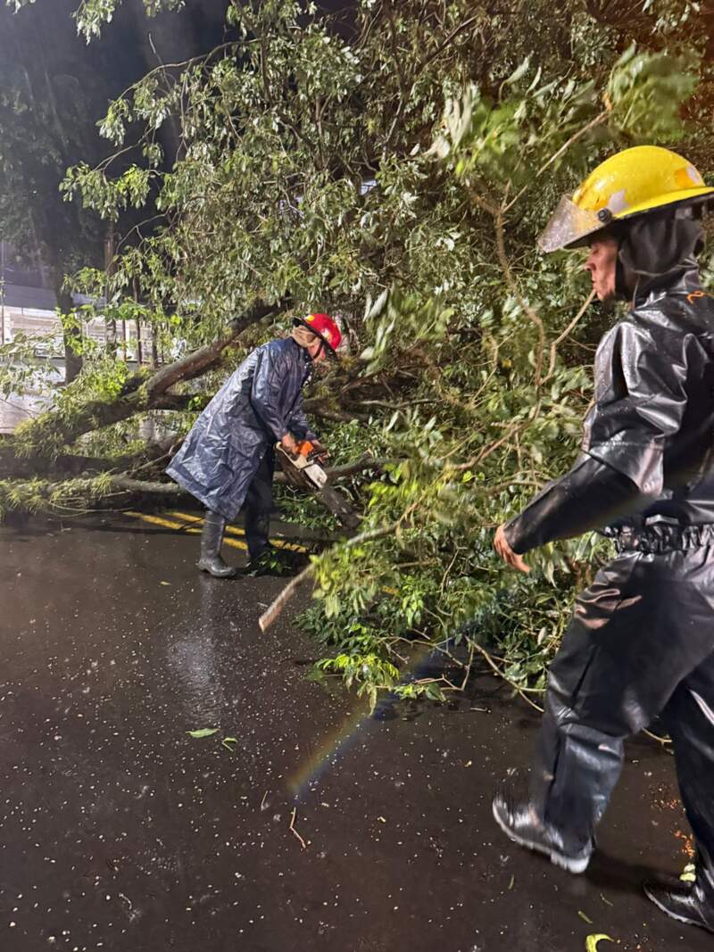 Fuego, tormentas y asistencia comunitaria: intenso despliegue de los bomberos de la Policía en distintos puntos de Misiones imagen-8