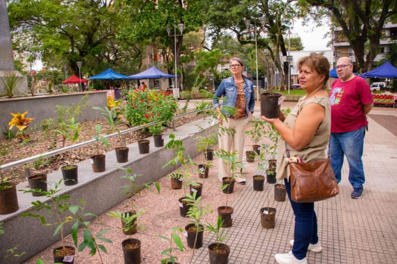 En el Día de la Selva Misionera se promovió la reforestación y el cuidado ambiental con entrega de plantines a vecinos de Posadas imagen-2