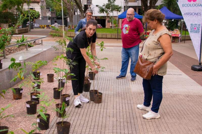 En el Día de la Selva Misionera se promovió la reforestación y el cuidado ambiental con entrega de plantines a vecinos de Posadas imagen-6