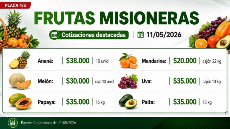Frutas y verduras: la producción misionera marca presencia en una nueva cotización del Mercado Central de Misiones imagen-4