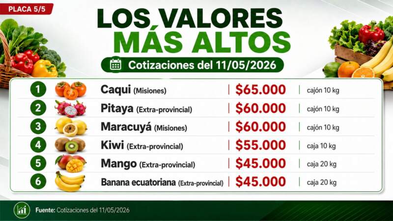 Frutas y verduras: la producción misionera marca presencia en una nueva cotización del Mercado Central de Misiones imagen-2