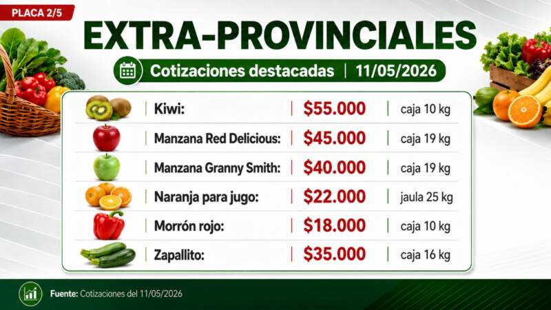 Frutas y verduras: la producción misionera marca presencia en una nueva cotización del Mercado Central de Misiones imagen-8