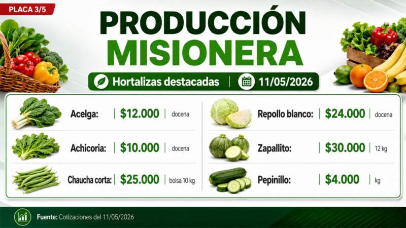 Frutas y verduras: la producción misionera marca presencia en una nueva cotización del Mercado Central de Misiones imagen-6