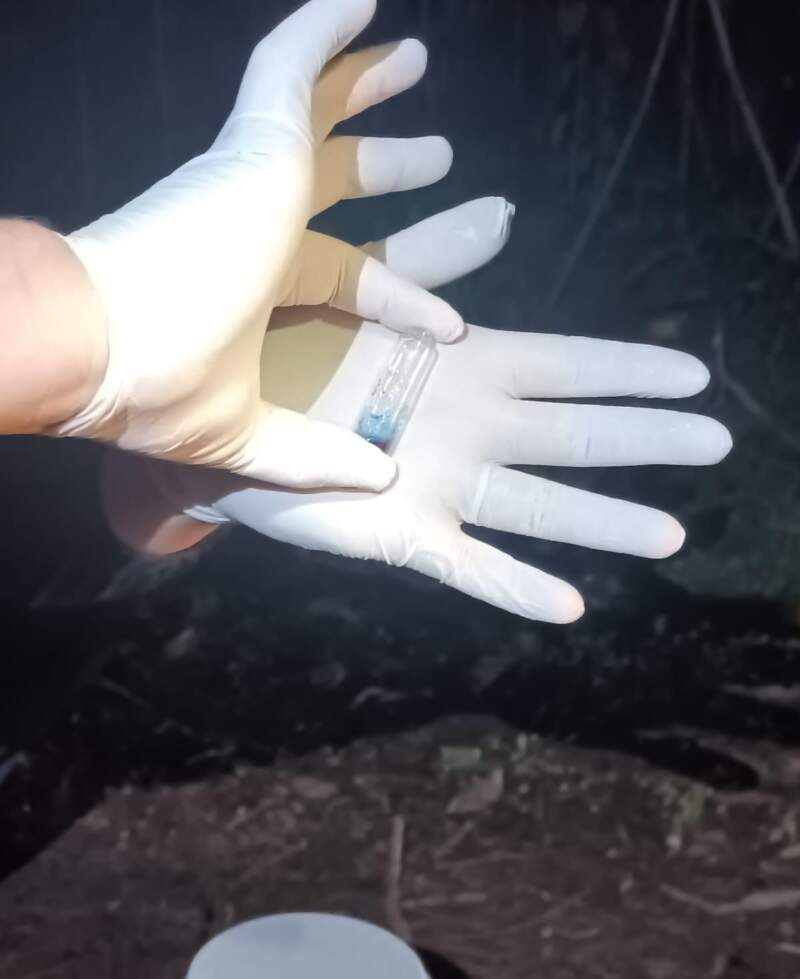 La Policía incautó más de un kilo de cocaína valuado en casi $25 millones tras una persecución por el monte en Puerto Iguazú 3 La Policía incautó más de un kilo de cocaína valuado en casi $25 millones tras una persecución por el monte en Puerto Iguazú imagen-2