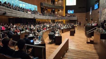 Legislatura: Misiones sancionó la ley que crea el Programa Provincial de Abordaje Integral de las Enfermedades Digestivas imagen-11