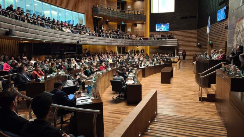 Legislatura: la desregulación del nomenclador de discapacidad "es un retroceso institucional y humano" imagen-4