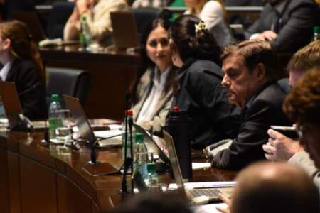 Legislatura: la desregulación del nomenclador de discapacidad "es un retroceso institucional y humano" imagen-4