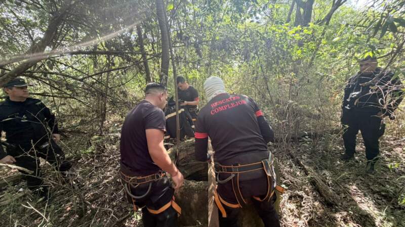 Mintió sobre un homicidio, activó un megaoperativo policial y el 911 lo rastreó hasta detenerlo 3 Mintió sobre un homicidio, activó un megaoperativo policial y el 911 lo rastreó hasta detenerlo imagen-2