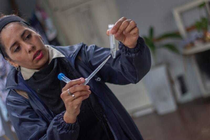 Operativo LIRAa casa por casa: relevarán 7 mil hogares para detectar criaderos de mosquitos 17 Operativo LIRAa casa por casa: relevarán 7 mil hogares para detectar criaderos de mosquitos imagen-16
